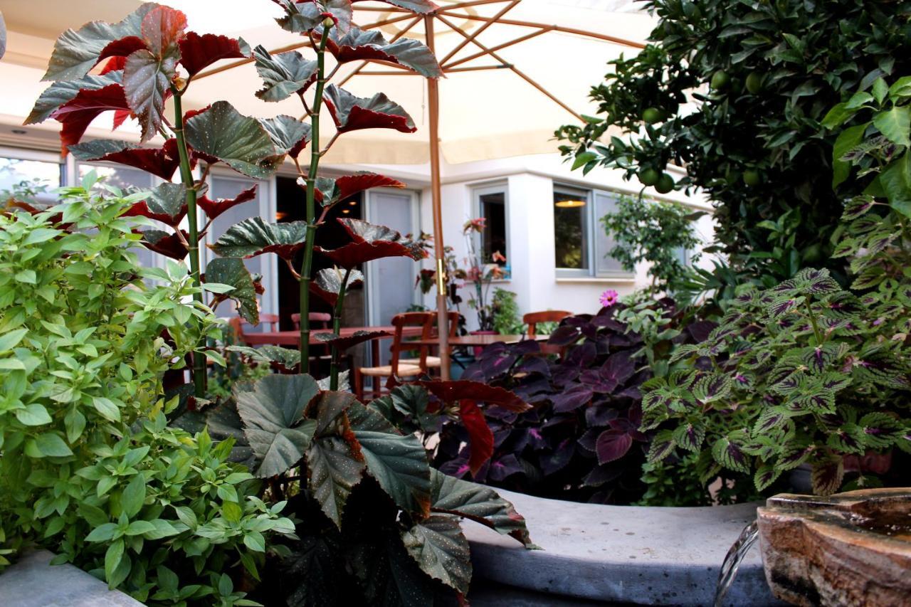 Philoxenia Hotel & Studios Rhodes City Extérieur photo