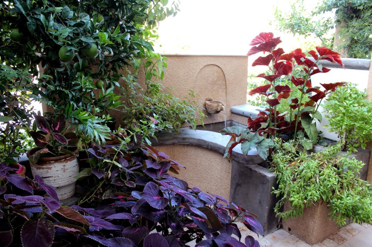 Philoxenia Hotel & Studios Rhodes City Extérieur photo